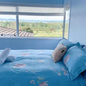 https://panoramic-view-apartment.rotoruahotelsnz.com